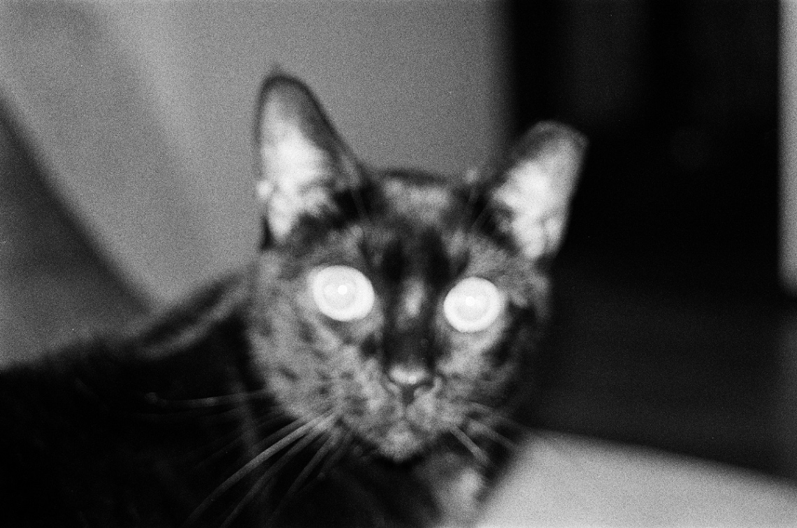 Frame 11