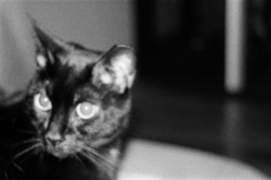 Frame 12