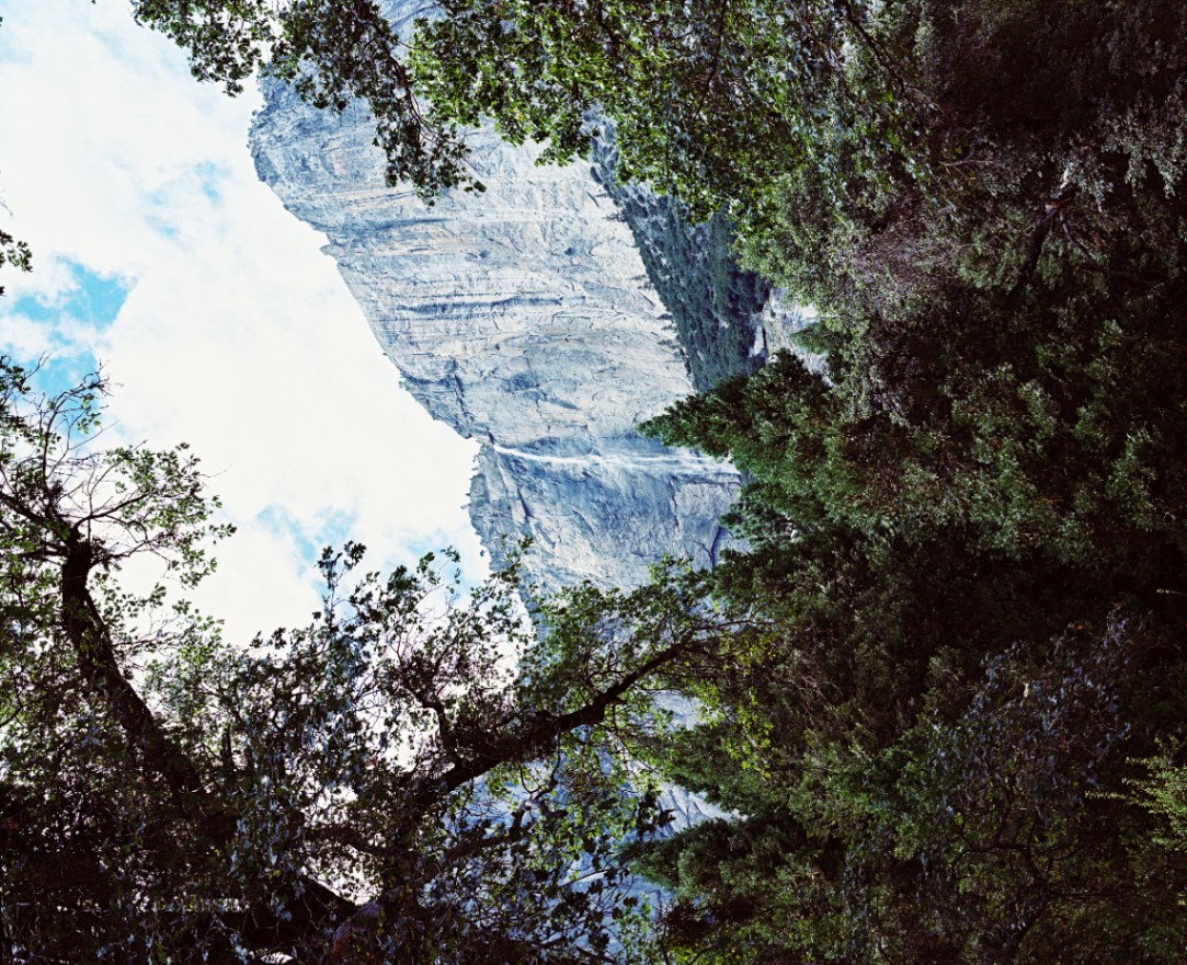 Frame 8