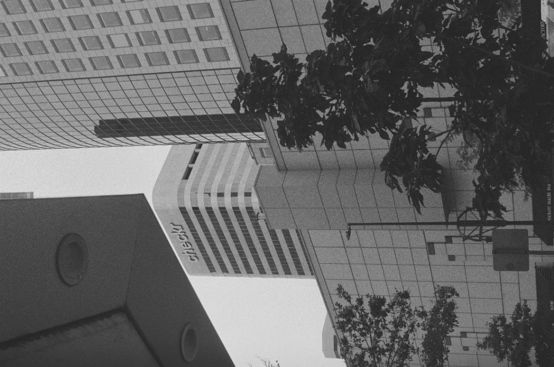 Frame 12