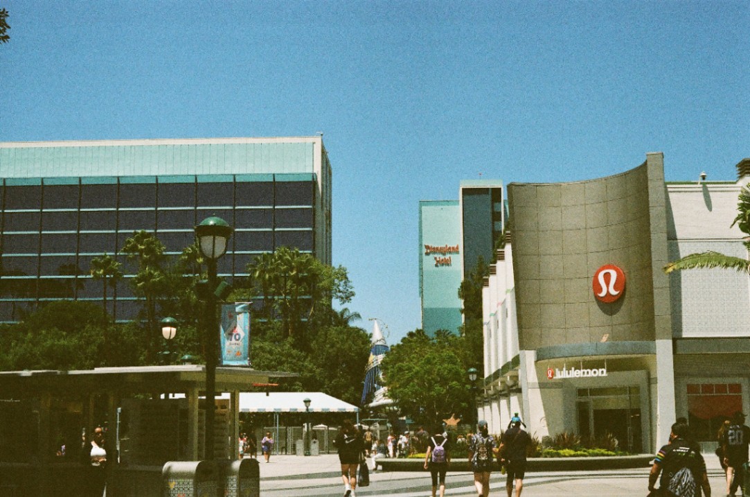 Frame 22