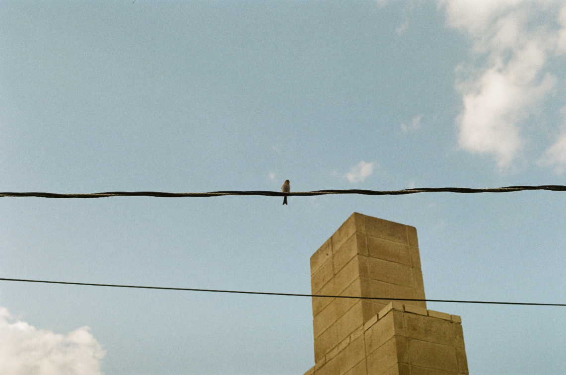 Frame 17