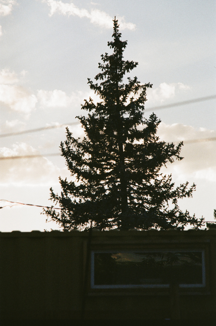 Frame 24