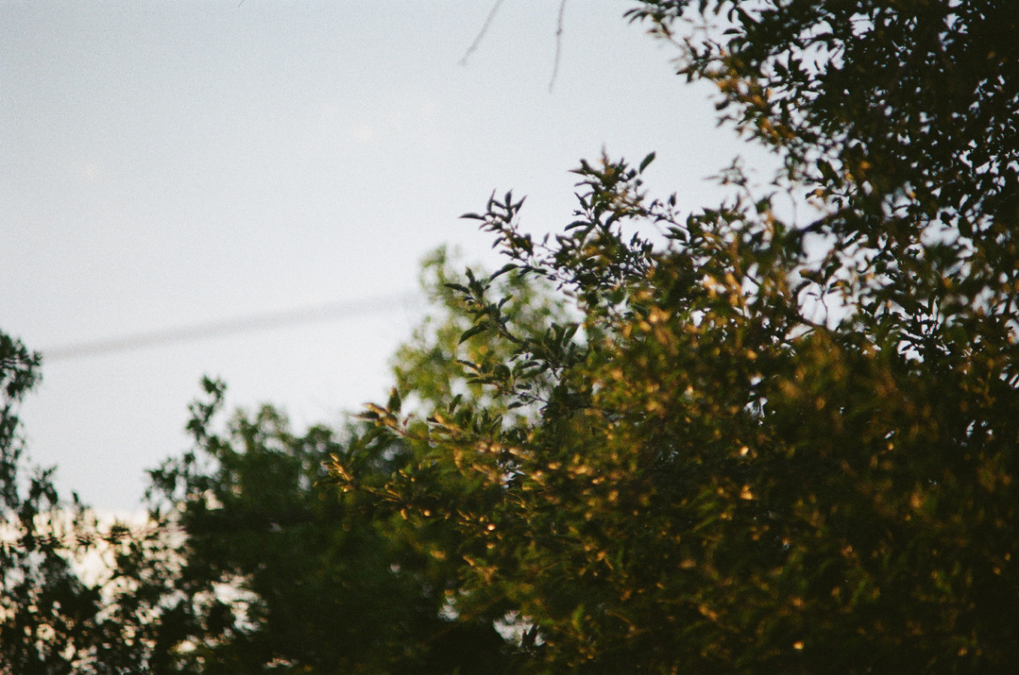 Frame 26