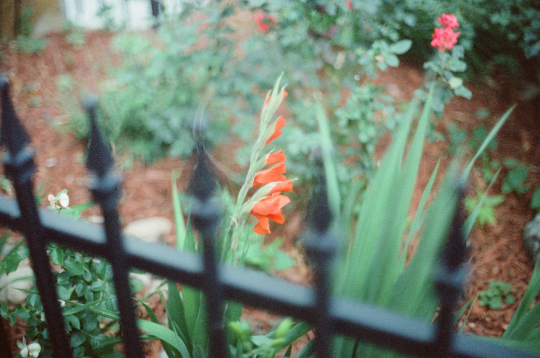 Frame 8