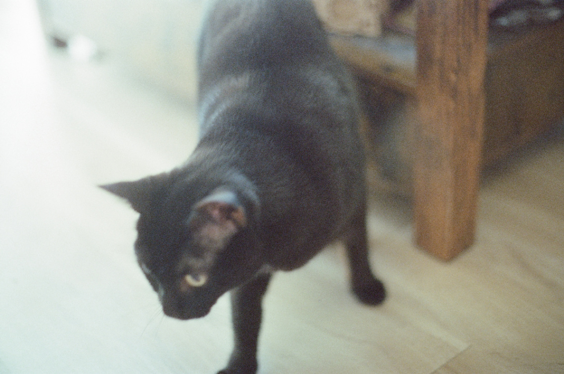 Frame 11