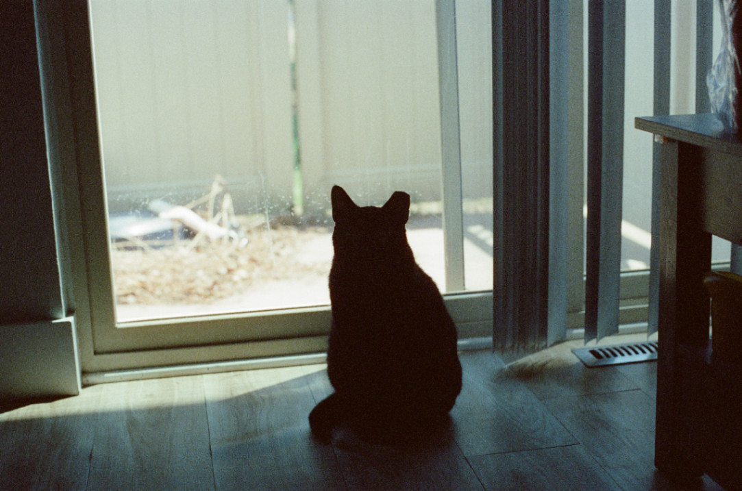 Frame 13