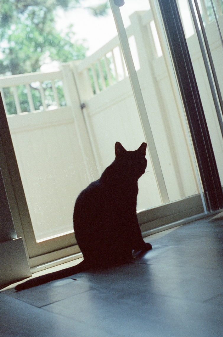 Frame 14