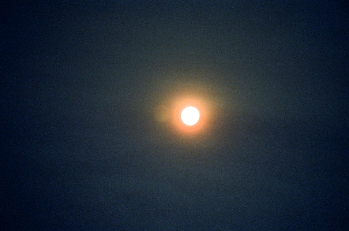 Frame 21