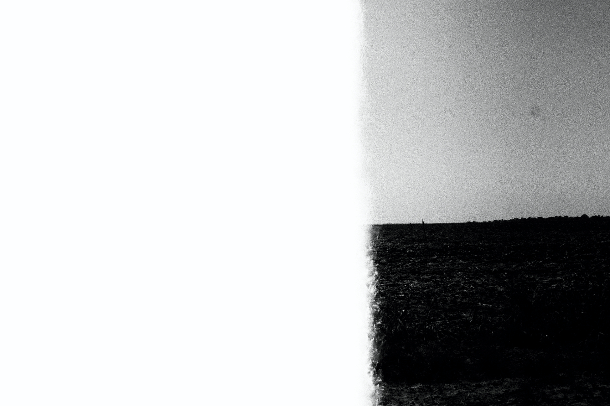 Frame 1