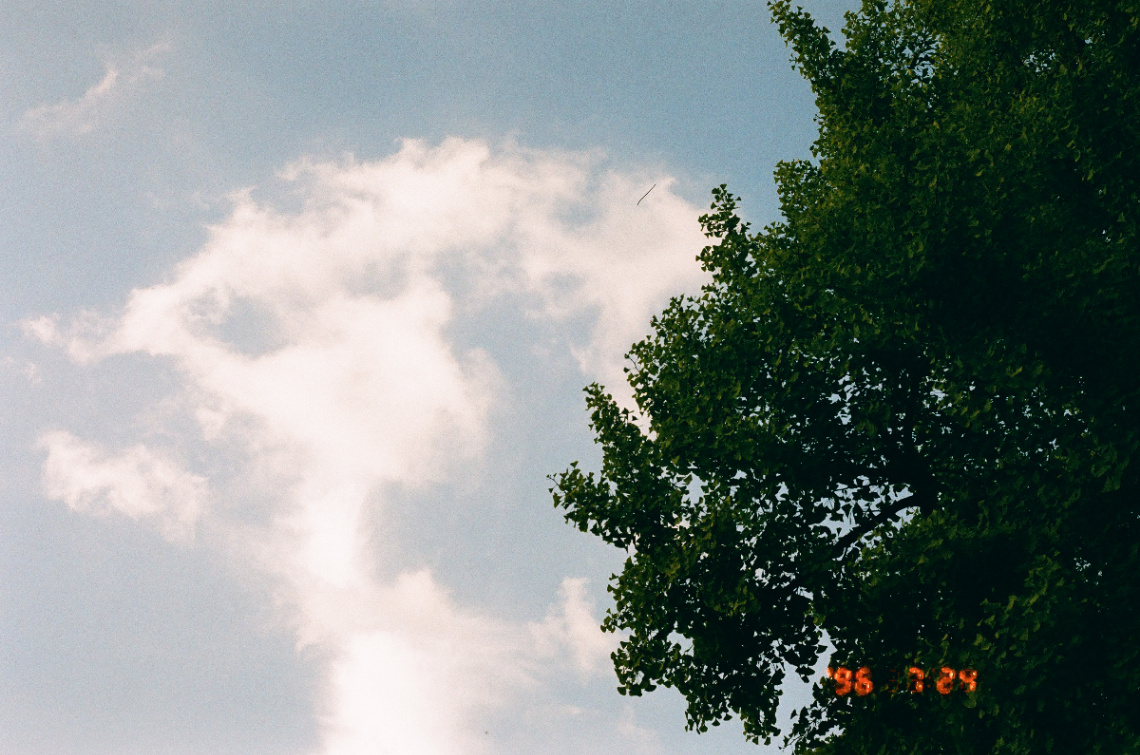 Frame 6