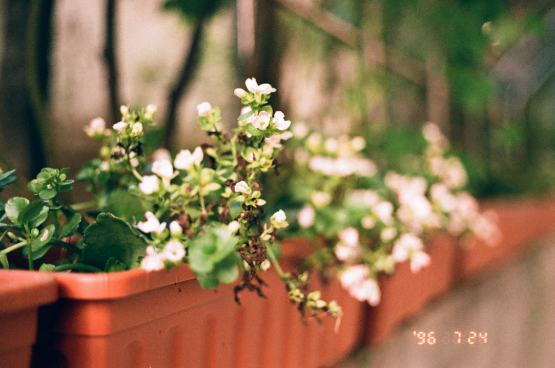Frame 14