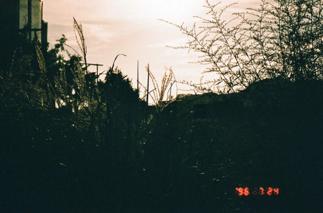 Frame 21