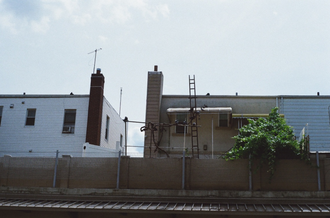 Frame 14