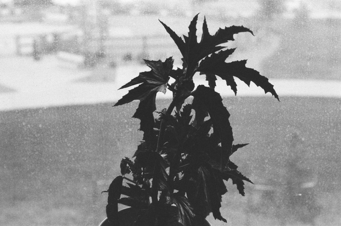 Frame 2