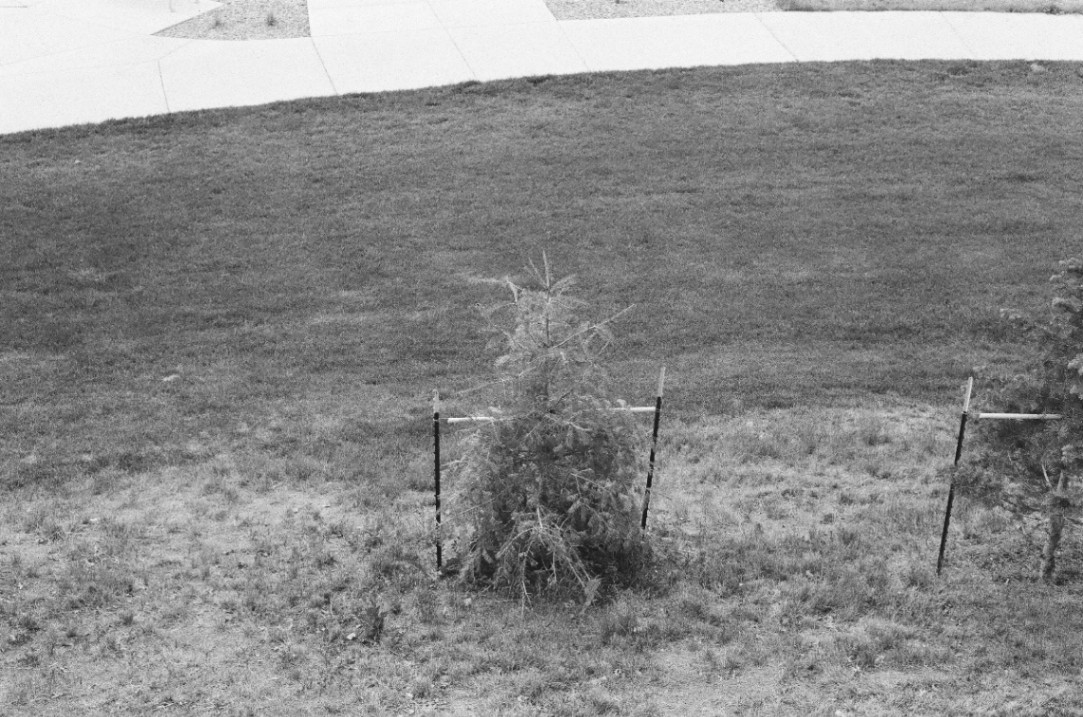 Frame 8