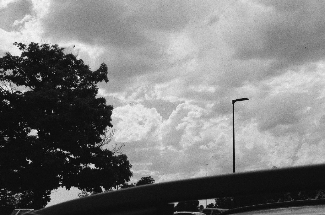 Frame 19