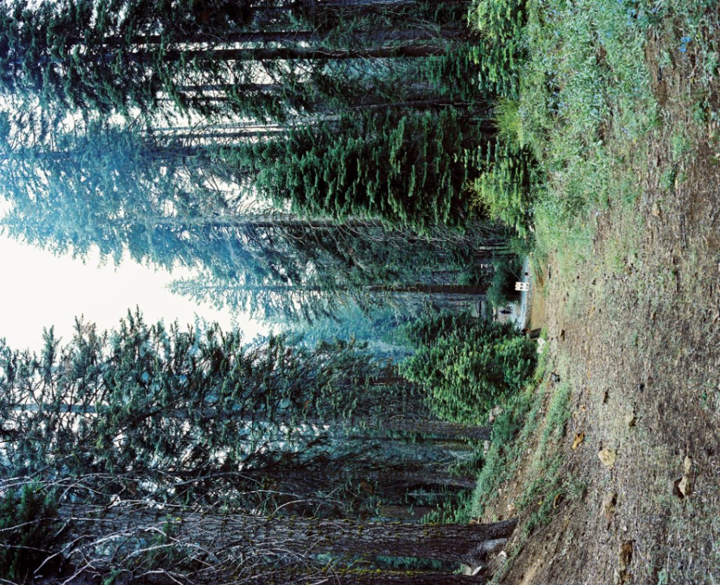 Frame 3