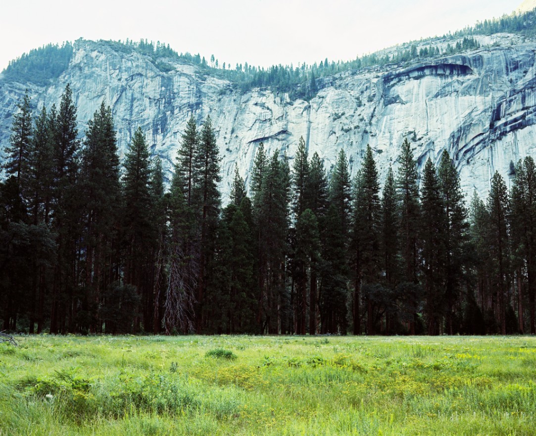 Frame 6