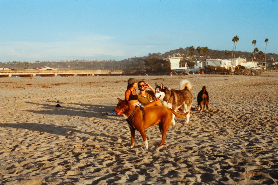 Frame 7