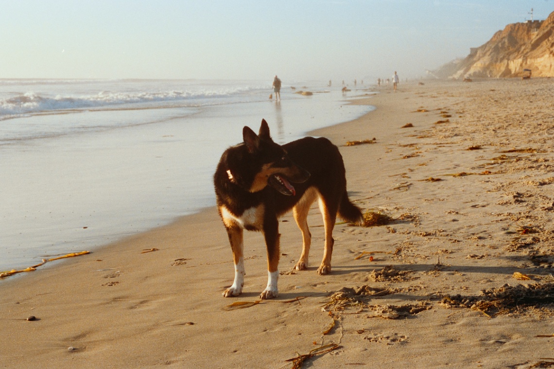 Frame 8