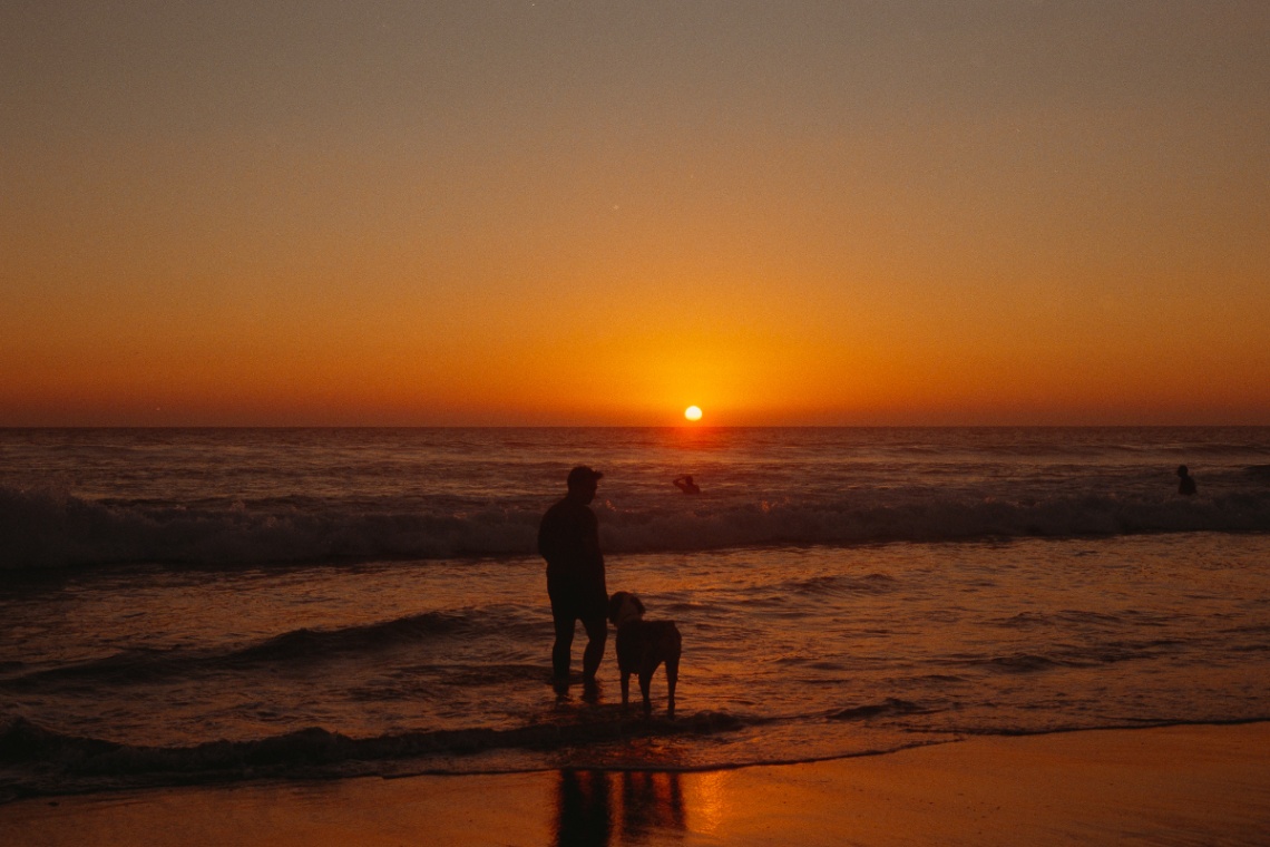 Frame 27