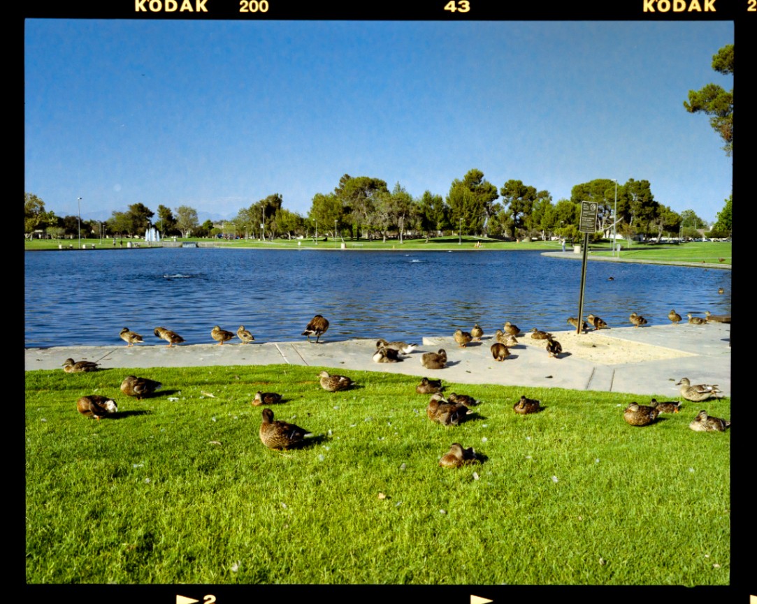 Frame 2