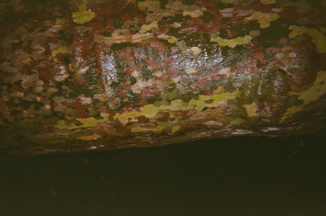 Frame 25