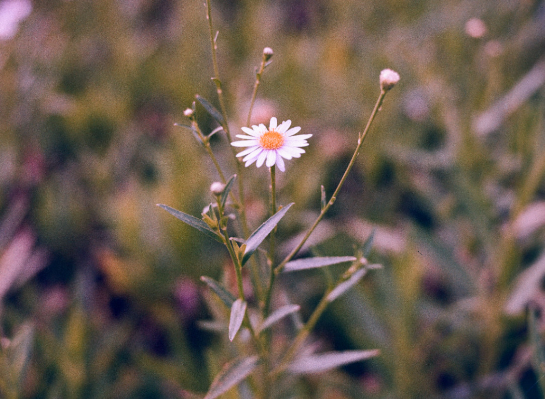 Frame 2