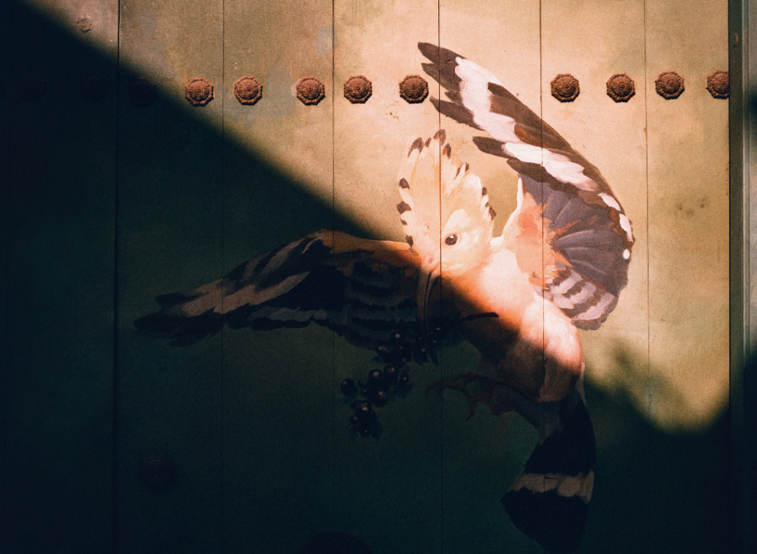 Frame 13